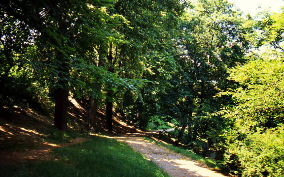 Beethoven's path near Heiligenstadt