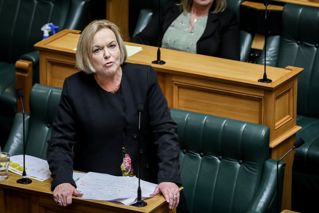 Judith Collins debating in the House