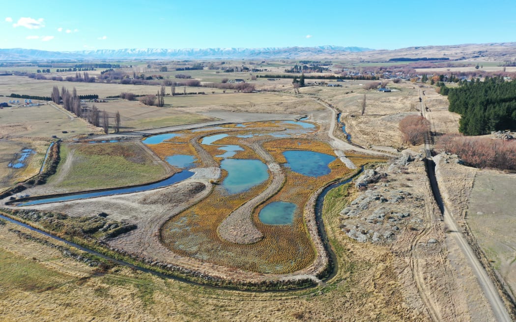A thriving wetland in at Thomsons Catchment Project