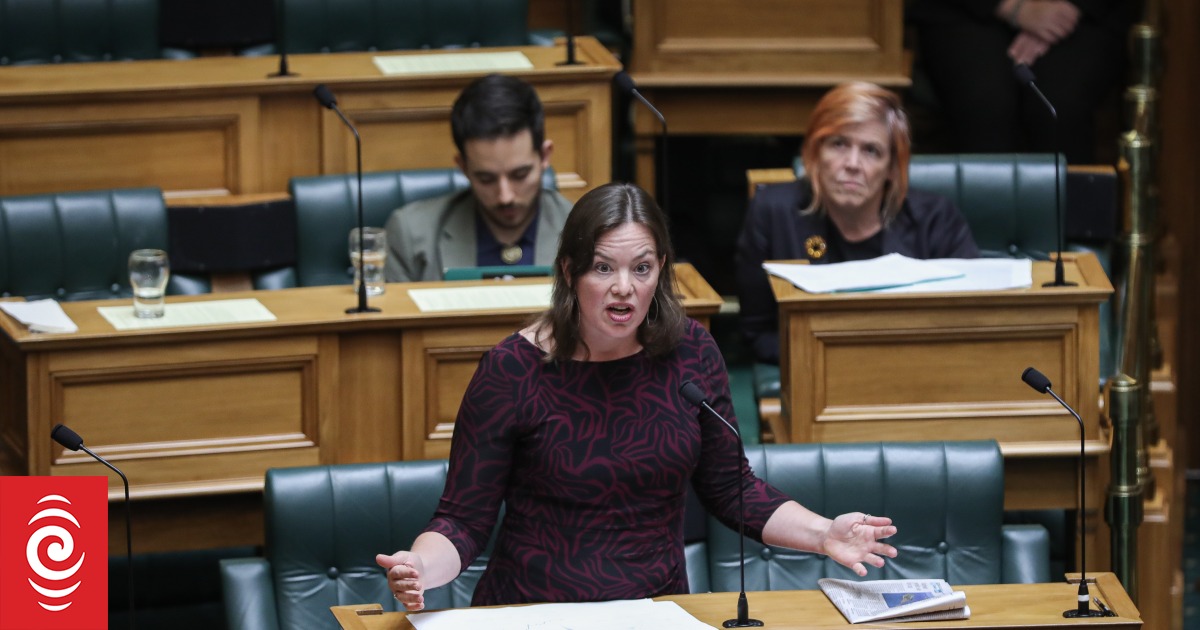 Julie Anne Genter: Greens had 'no prior knowledge'