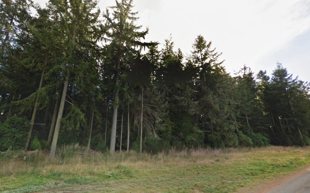 McHughs Forest Park.