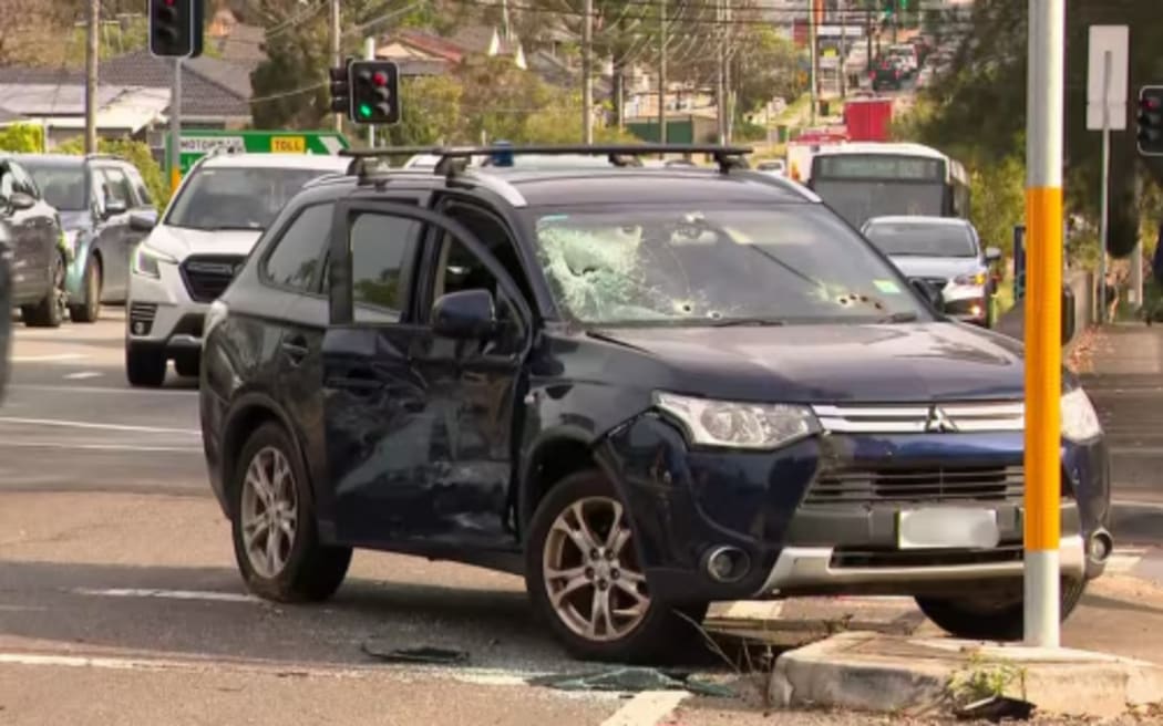 Two cars, including a Mitsubishi SUV, were left with holes in Revesby on Tuesday.