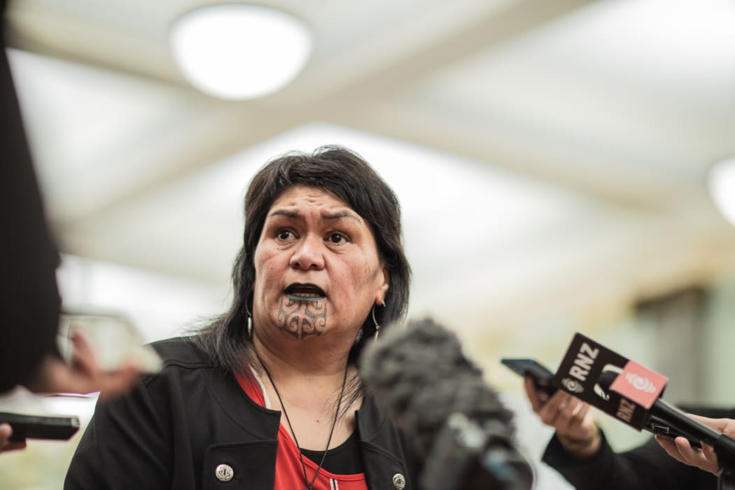 Three Waters working group named, terms of reference released RNZ News