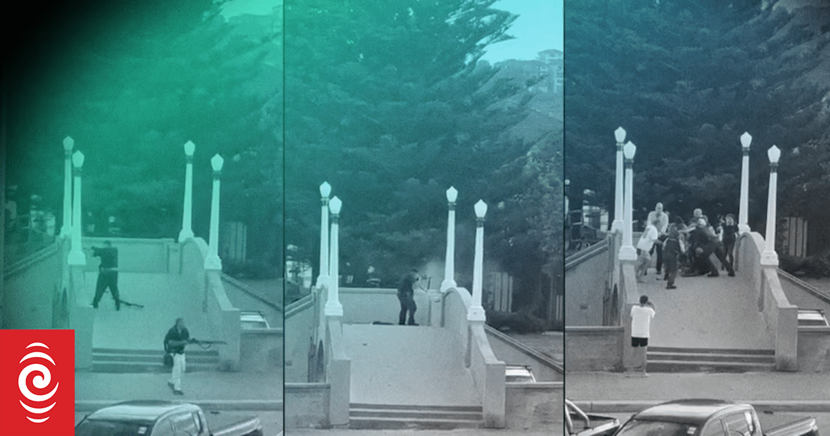 What videos tell us about the final moments of the Bondi Beach terrorist attack