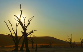 Deadvlei, Namib Desert, Namibia