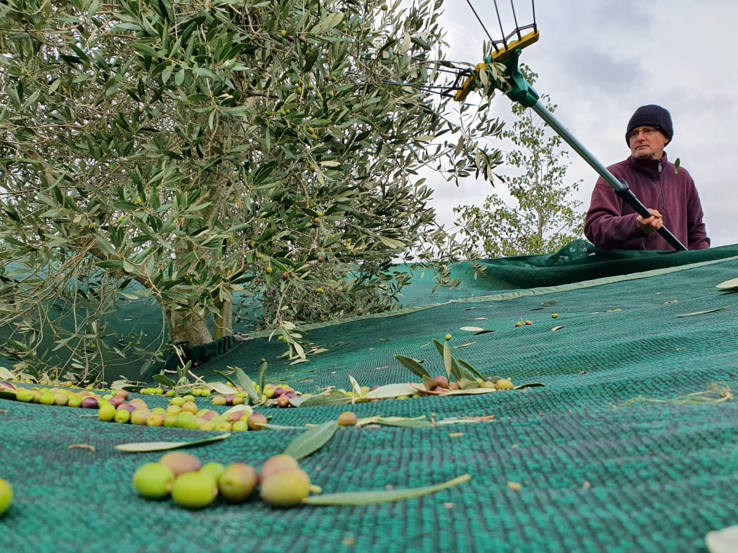 Ross Vintiner at work over harvest