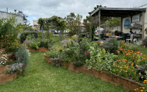 Garden beds bursting with veggie plants and flowers in front of a verandah covering work benches and gear.
