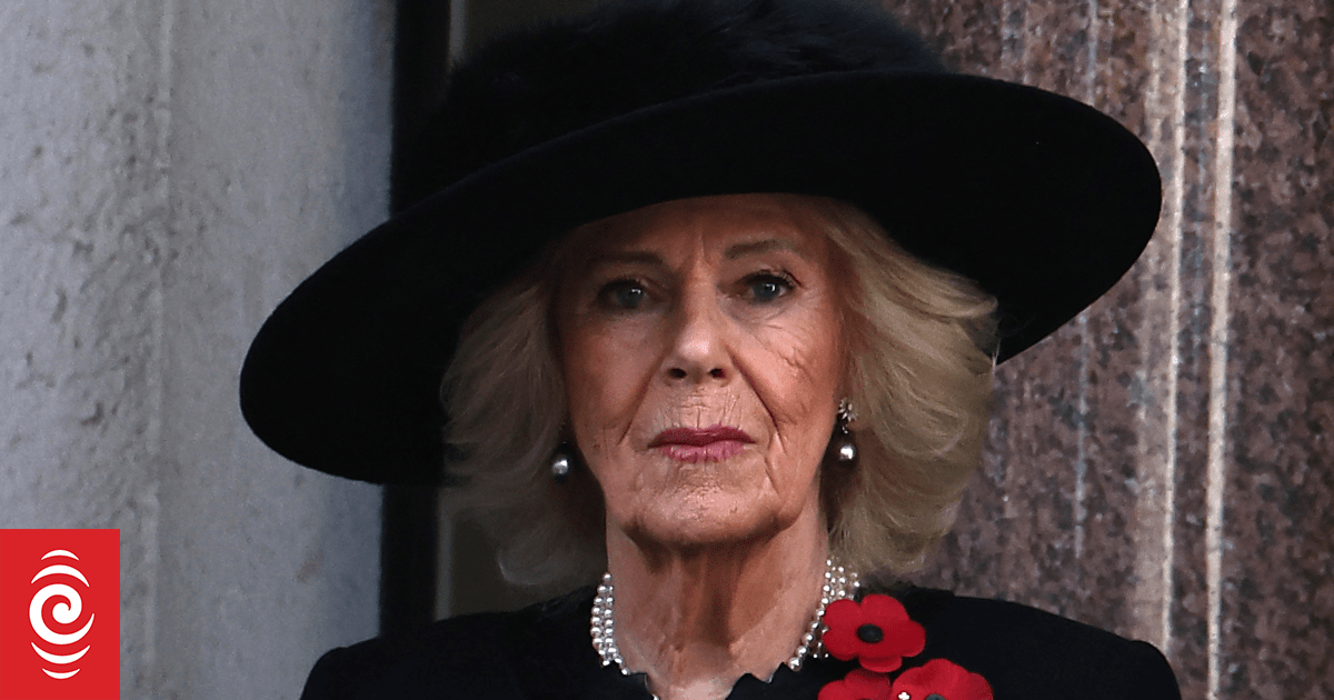 Queen Camilla describes being assaulted by man as a teenager