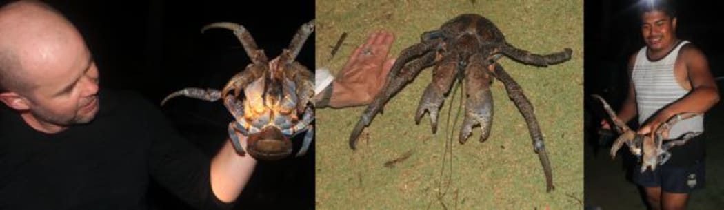Photos from left to right of Justin Gregory holding an uga, an uga with hand for scale, and on the hunt.