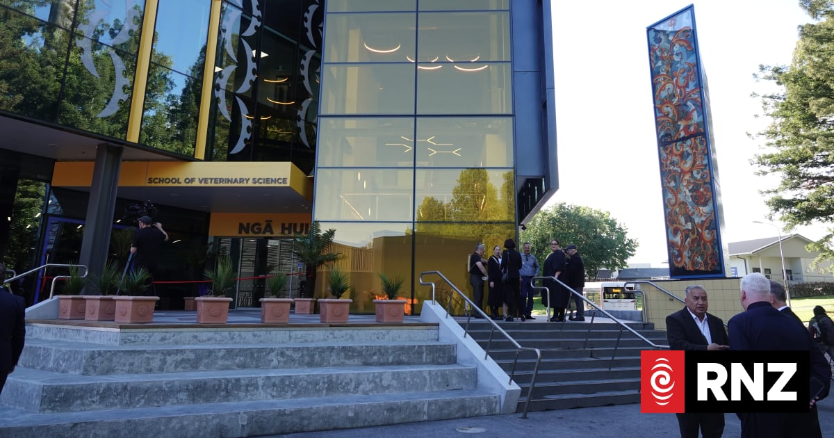Massey University's vet school officially opens $160 million revamp | RNZ