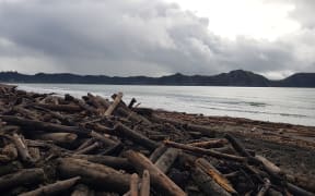 Slash debris after flooding in Tolaga Bay.