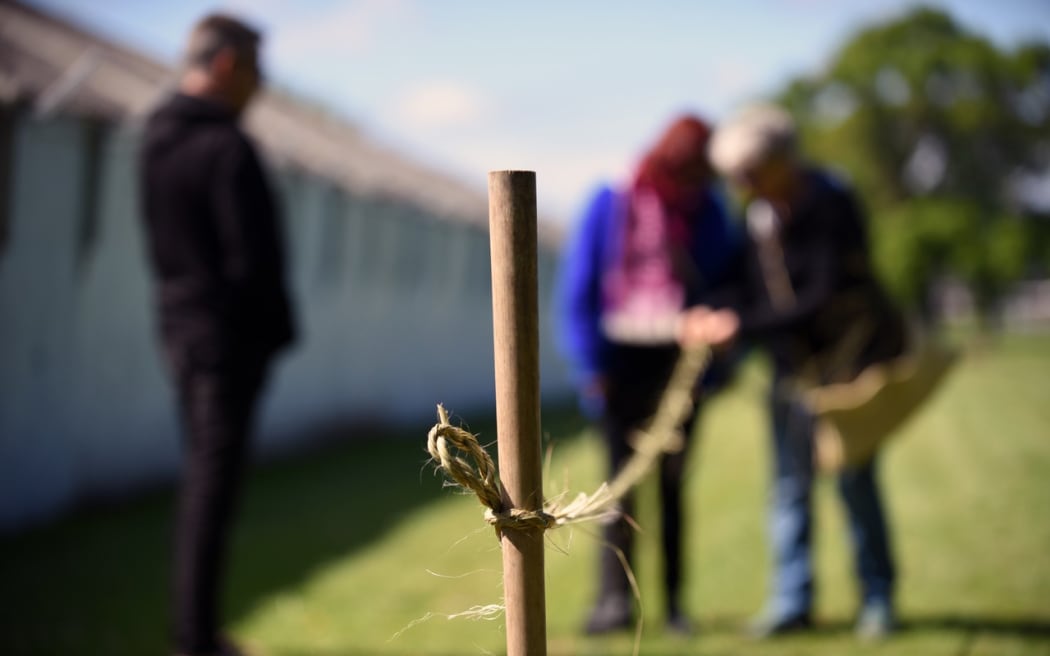 Dunedin artist Kari Morseth's Rope/Walk art project