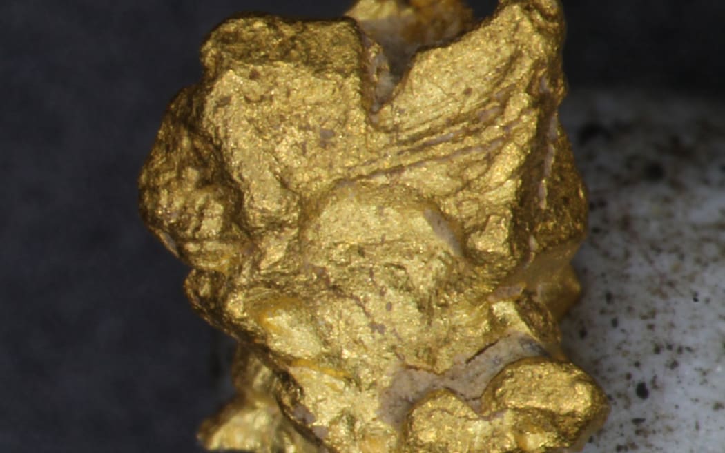 Gold nugget