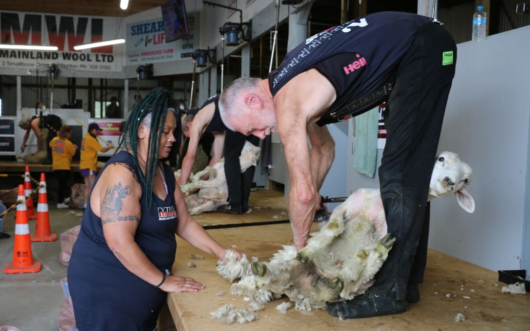 A shearer and wool handler at work at the Shear For Life fundraising event