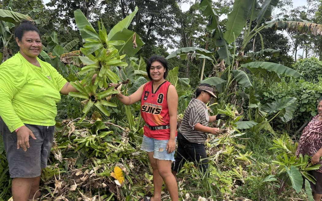 Samoan communities are clearing breeding habitats for mosquitoes to prevent dengue fever.