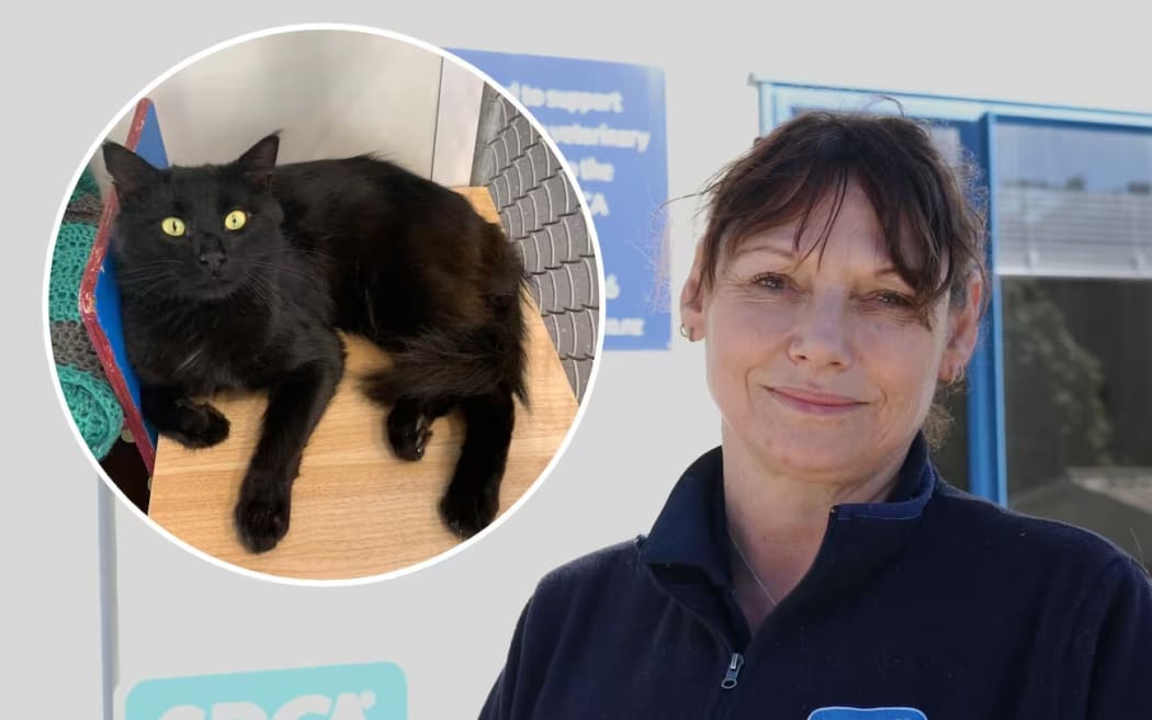 SPCA Nelson feline attendant Carmen Torrance was injured trying to retrieve animals let loose during a night raid of the shelter. Boris the cat (inset) was among the animals released and was still missing.