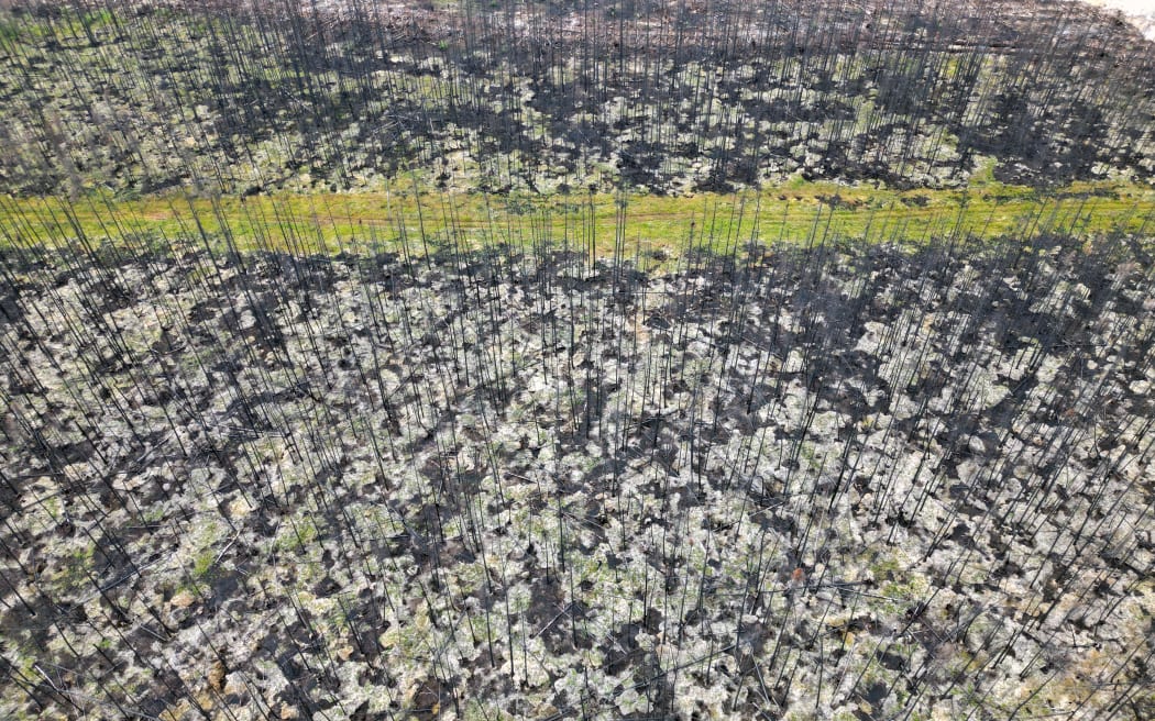 This aerial photo shows the burnt forest on September 22, 2023, around Normetal, Quebec, Canada, a village that was evacuated during the month of June due to forest fires. Canada has been hit by a historic wildfire season, with over 18 million hectares (44,478,969 million acres) going up in smoke from east to west. Over 5 million hectares (12,355,269 million acres) of forest were destroyed in Quebec. (Photo by Mathiew LEISER / AFP)