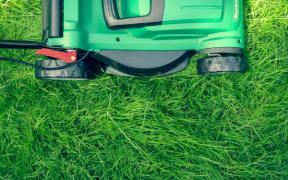Lawn Mowing
