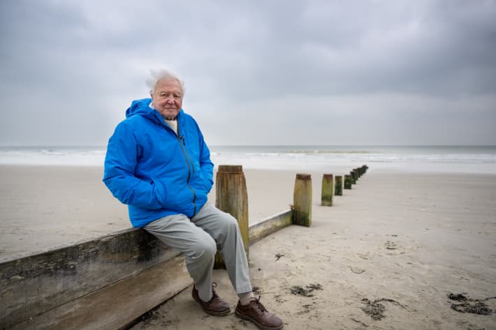 David Attenborough is celebrating his 99th birthday with a dire warning for the future of the planet.