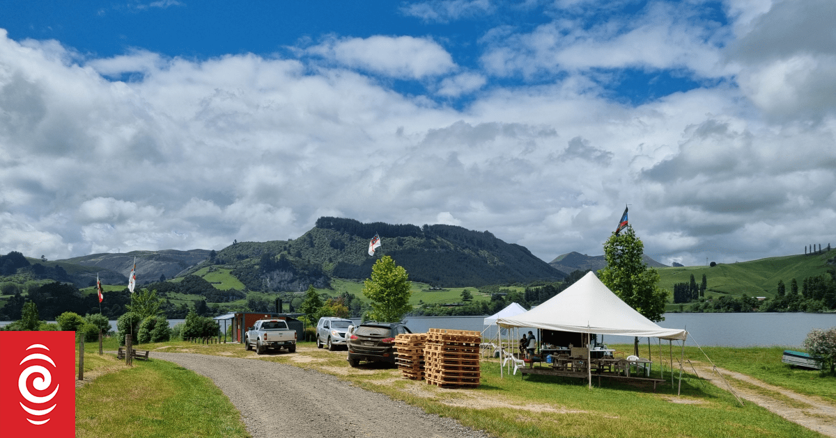 Proposed Waikato housing subdivision sparks land occupation