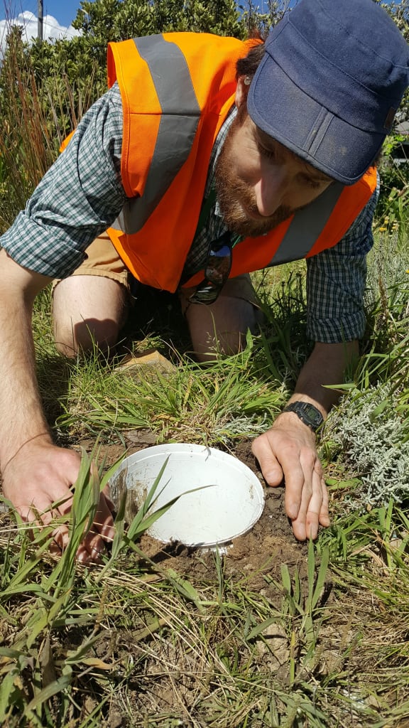Chris Woolley positions a pitfall trap into the ground, ready to catch lizards.