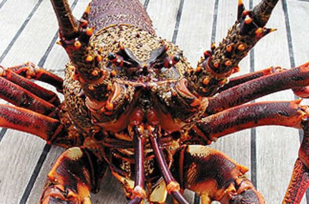 Crayfish