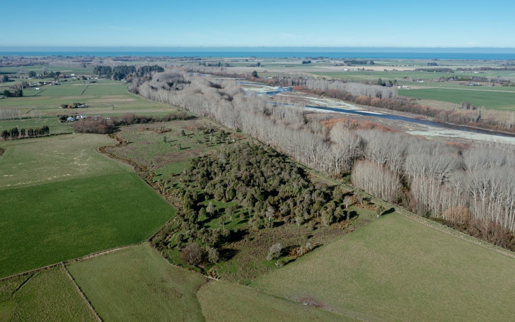 Arowhenua Bush restoration project