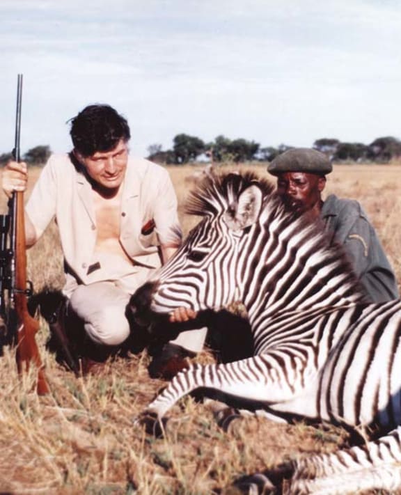 Colin Murdoch poses with a tranquilised Zebra.