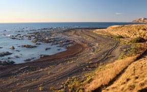 Vehicle tracks running along the east coast.