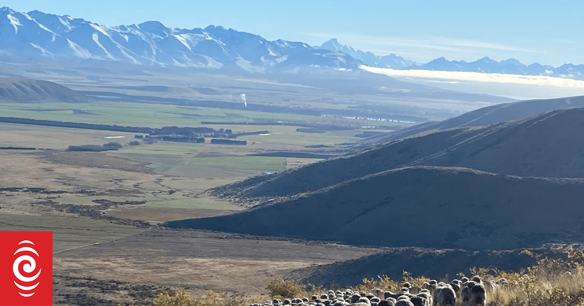 Country Life: Living the high country life at Glenbrook