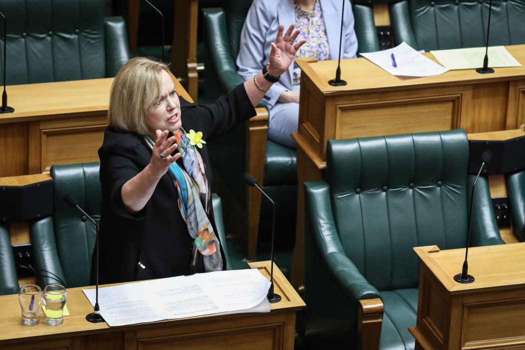 National Party Leader Judith Collins in parliament's General Debate