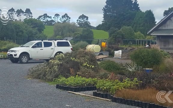 Minister admits slim chance of eradicating myrtle rust fungus