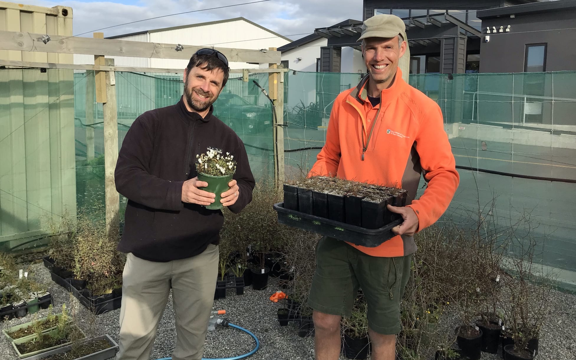 Dr. Clement Lagure and Tom Waterhouse at Oamaru DOC field station nursery. Clement holds Gentianella calcis subspecies manahune. Tom holds a tray of Lepidium sisymbrioides plants.