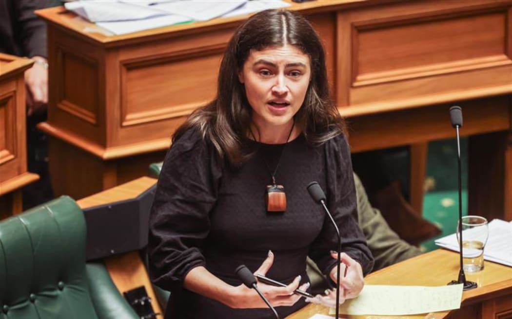 Greens co-leader Chlöe Swarbrick says this "would be a joke if it wasn't so serious".