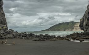 An image of Whatipu, a remote beach on Auckland's West Coast.