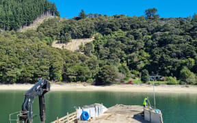 A huge slip on the Kenepuru Road, visible behind Chrissy Sumby's Waima Bay property.