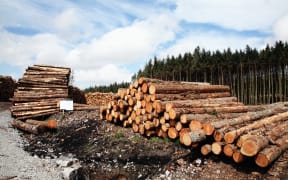 Logs stacked after an industry operation.