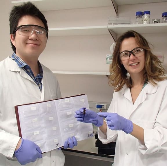 The hair samples from 1200 Singaporean women who took part in the GUSTO study are in the photo album held by researcher Ting-Li Han, while Karolina Sulek holds a sample that has been liquified prior to being analysed.