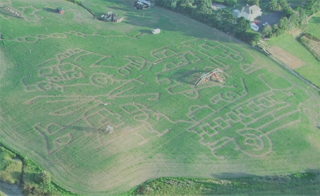 A maze from above
