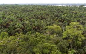 Rio Napo in the middle of the Varzea Forest, Napo Wildlife lodge, Yasuni Nationl Park, Amazon, Ecuador. 
 
Biosphoto / Michel Gunther (Photo by Michel Gunther / Biosphoto / Biosphoto via AFP)
