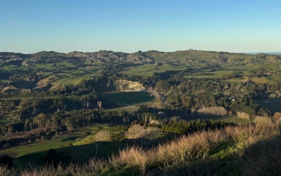 Pastoral farming remains a key sector in the Hawke's Bay economy.