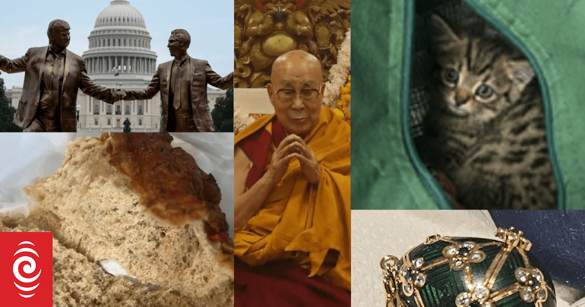 News of the weird: The strangest stories of 2025