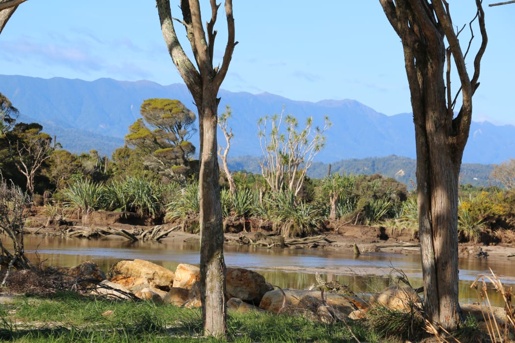the Ōpārara Estuary