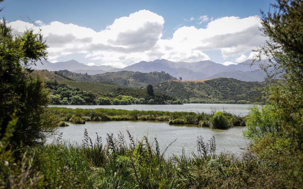 Ecan wetlands restoration work - Lake Rotorua - small lake near Kaikōura in South Island