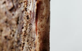 Boar Belly Pancetta