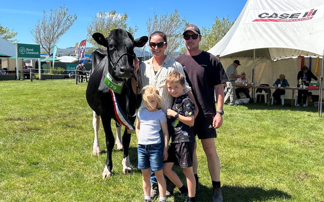 Sherraine Holsteins