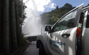 A water main has burst in central Wellington's Aro Valley.