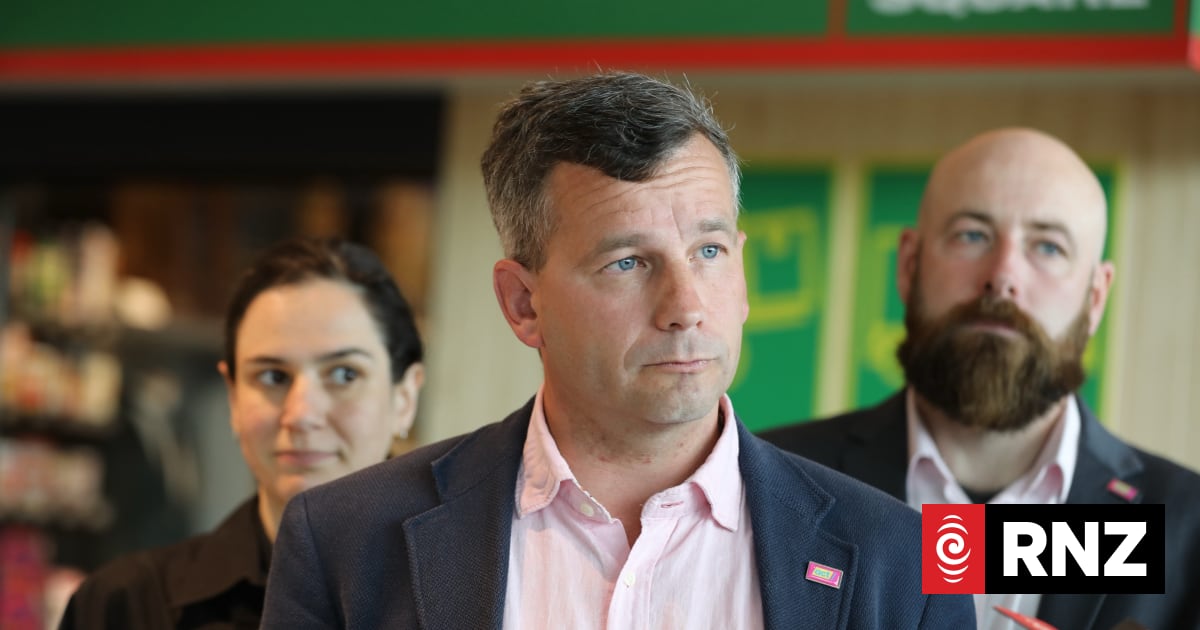 Tamaki Makaurau candidate vote has become a 'constitutional cluster' - Seymour