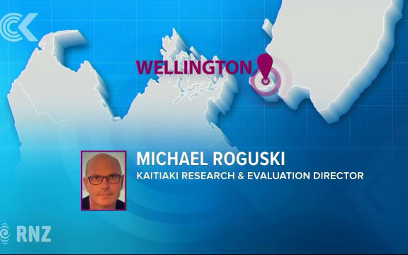 Animal abuse linked to family violence, researcher says