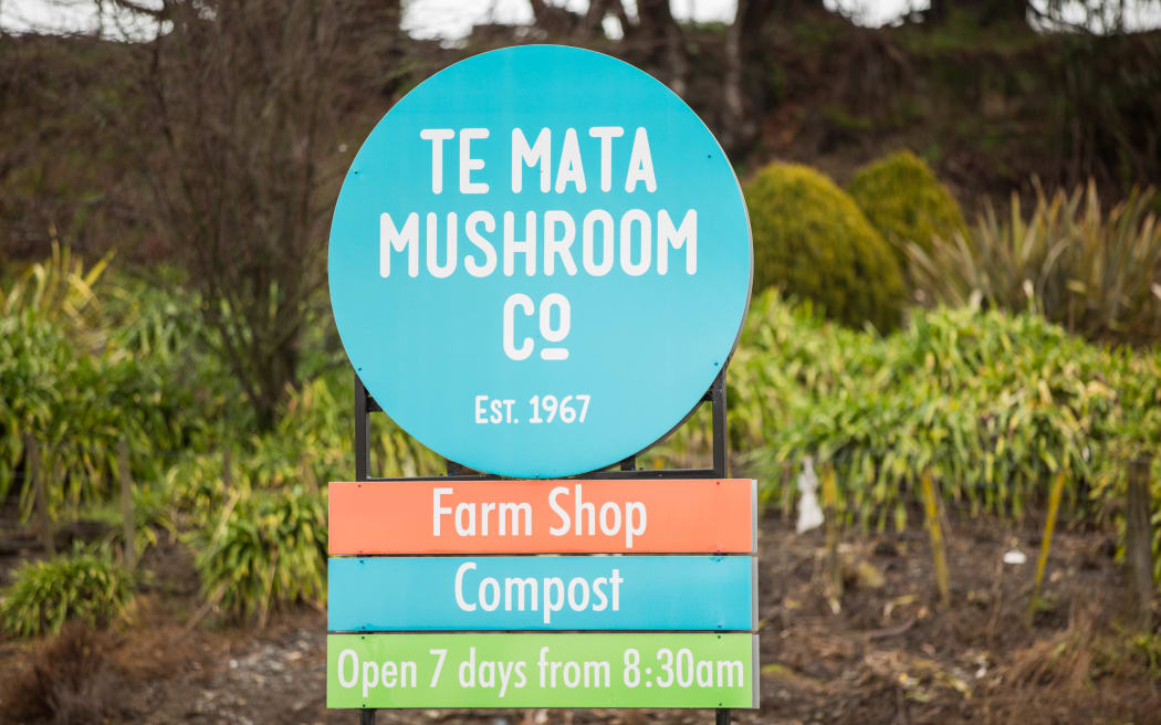 Te Mata Mushroom Company in Havelock North